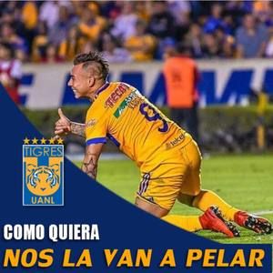 Meet your Posher, Jose